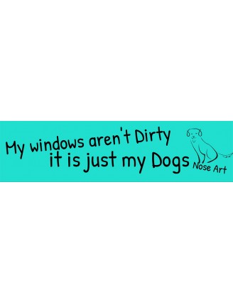 My windows aren't dirty Bumper Sticker