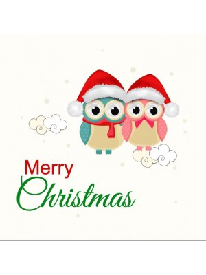 Christmas Owls Label