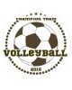 Volleyball Champions Sports Prize Label